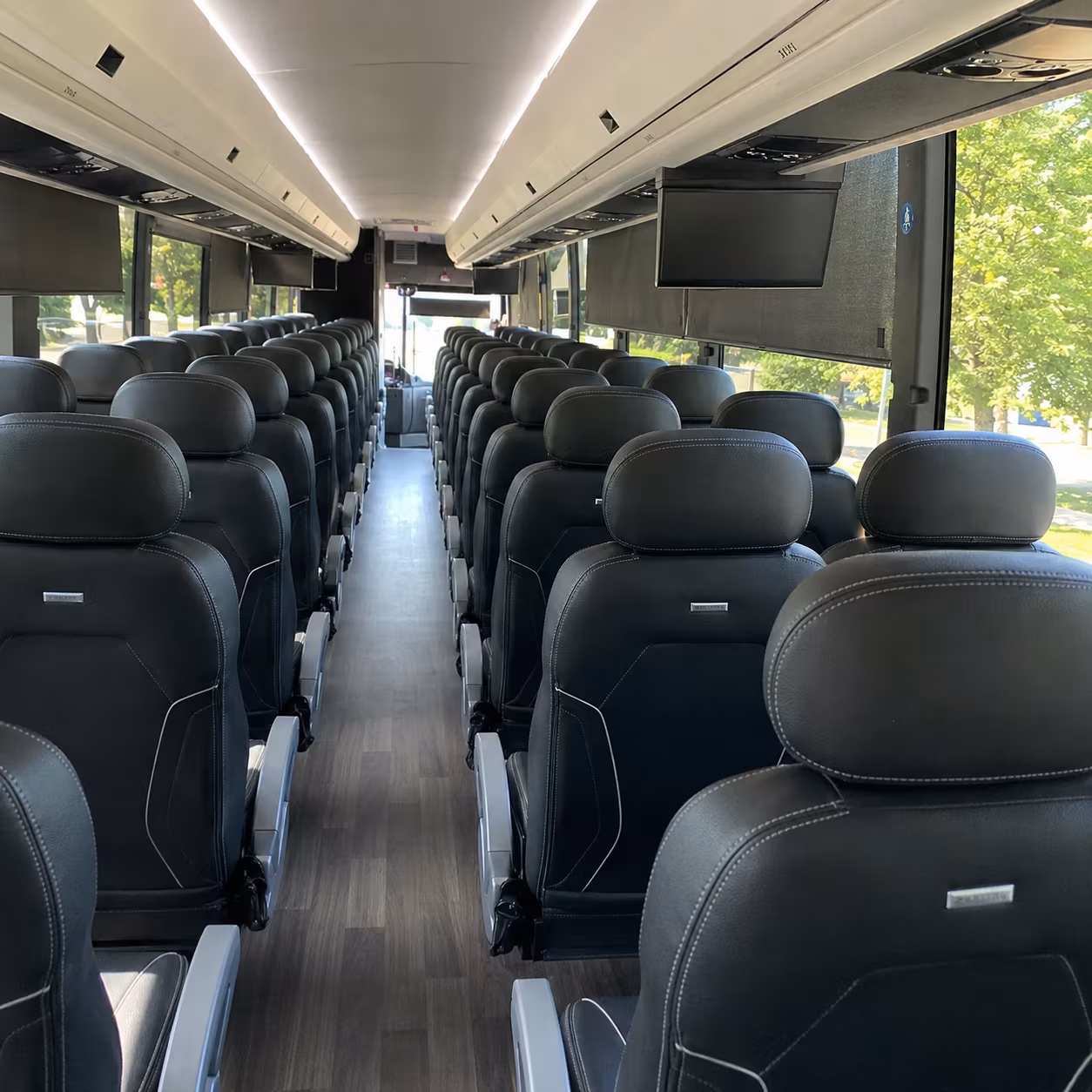 bismarck birthday party transportation