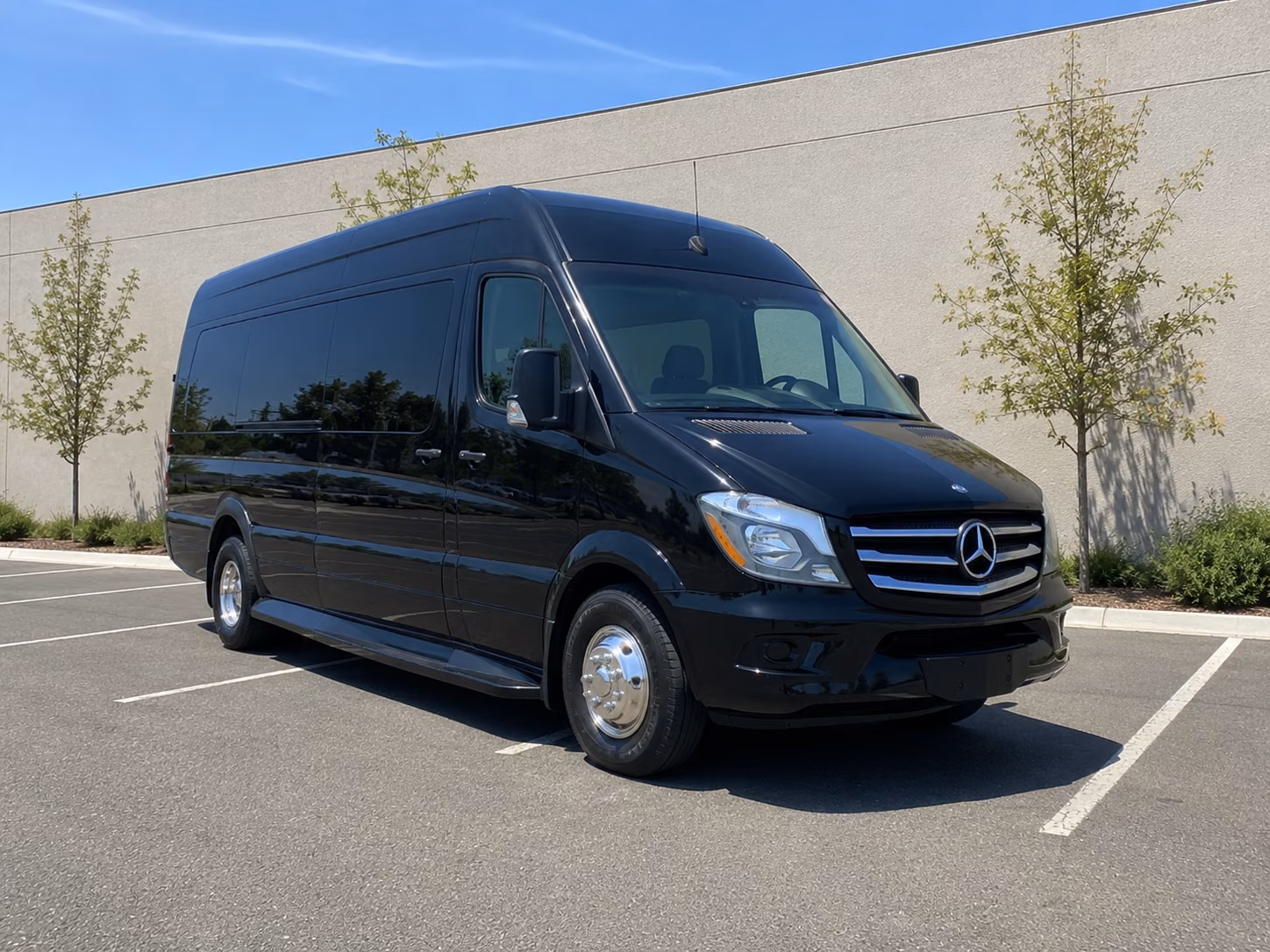 book the perfect ride for your next bachelor or bachelorette party 1